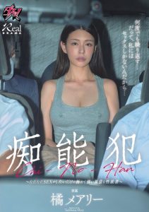 DASS-842 [Sub Indo] Tachibana Mary - Hasrat yang Sulit Dikendalikan Membawa Seorang Wanita ke Jalan Penuh Dilema